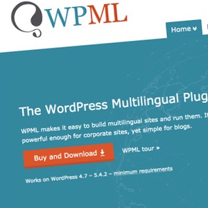 WPML Multi Lingual Plugin